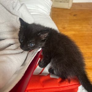 Meet your Posher, Axel